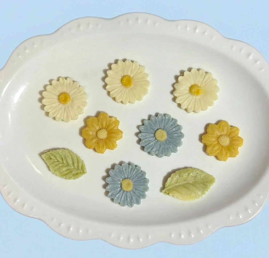 Starlight Daisy Garden