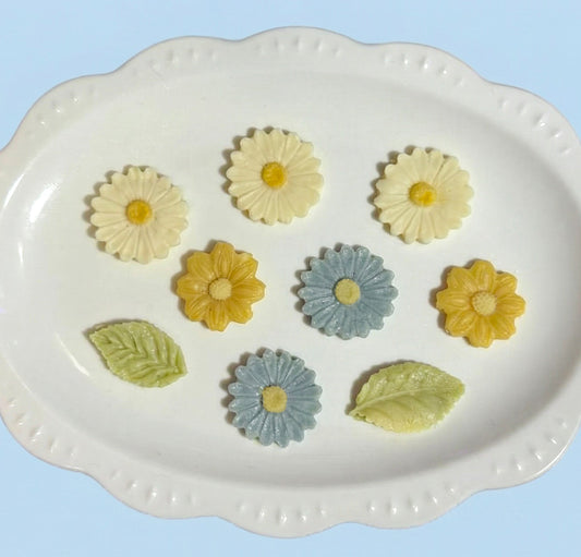 Starlight Daisy Garden